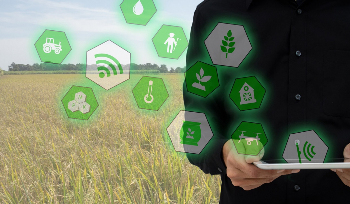 Agricoltura digitale: Smart Farming, il nuovo futuro dell'agricoltura